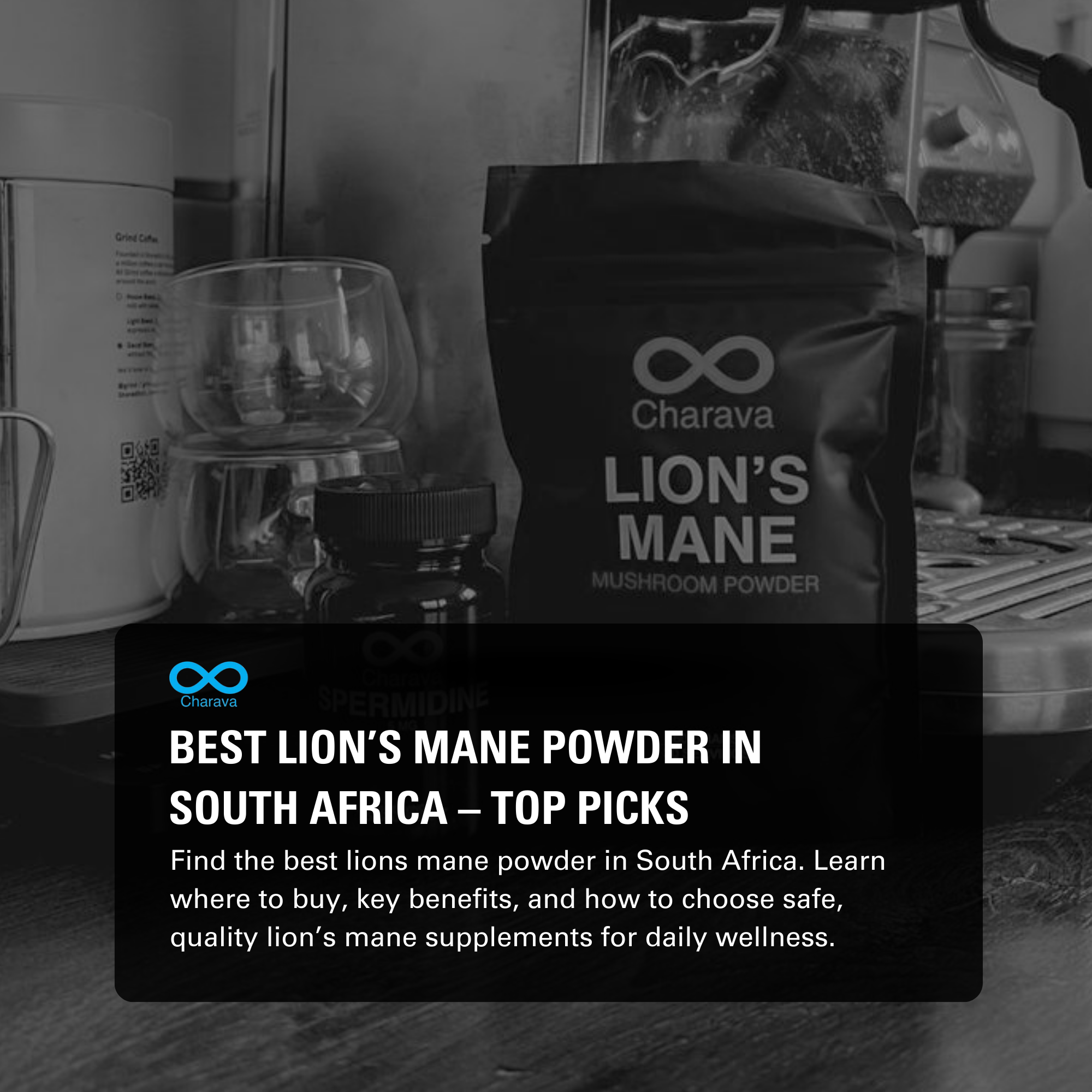 Best Lions Mane Powder in South Africa: Buying Tips and Top Sources | Charava SA