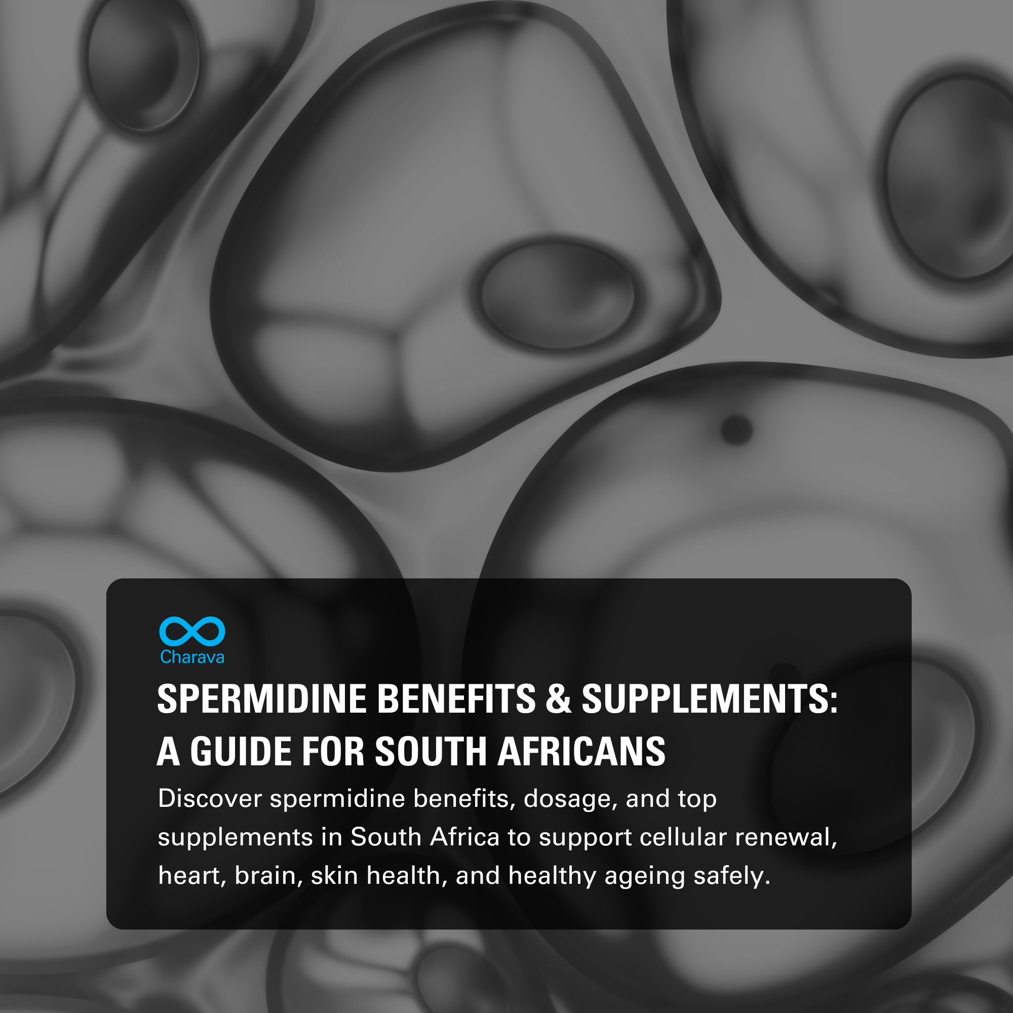 Unlock Spermidine Benefits for Energy, Brain, Heart & Healthy Ageing - Charava SA
