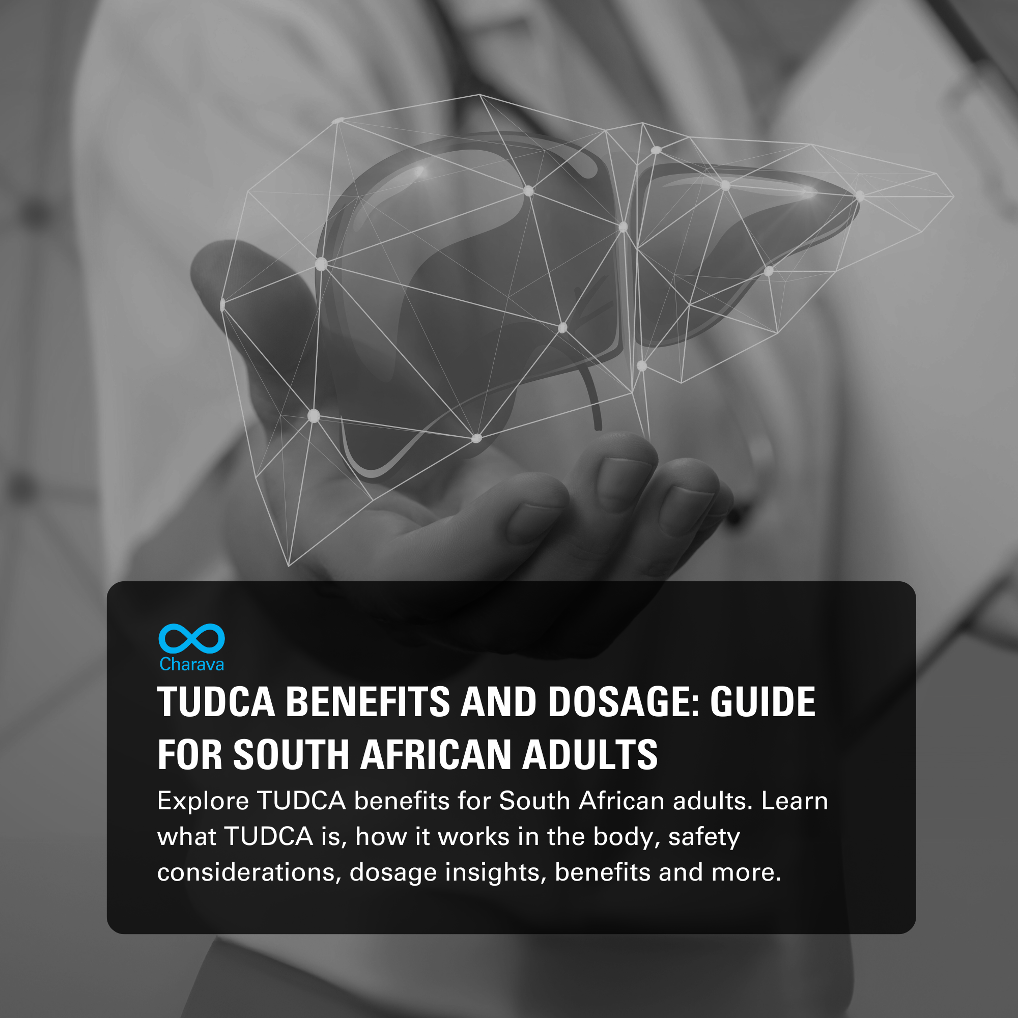 TUDCA Benefits in South Africa: Uses, Safety, and Wellness Guide - Charava SA