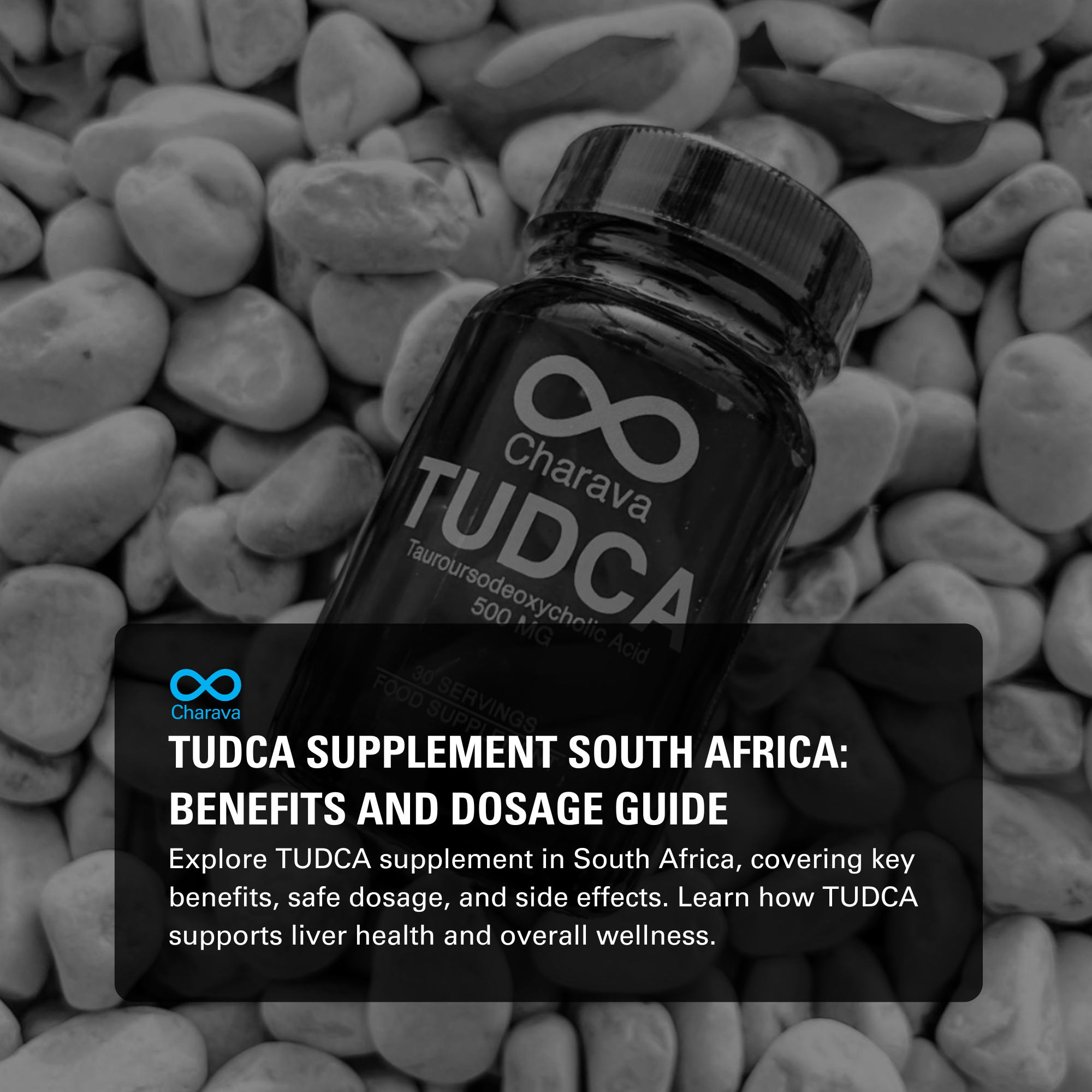 TUDCA Supplement in South Africa: Benefits, Dosage, and Safety - Charava SA