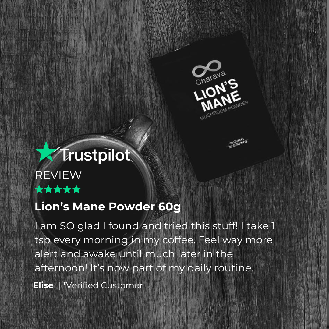 Lion's Mane Powder