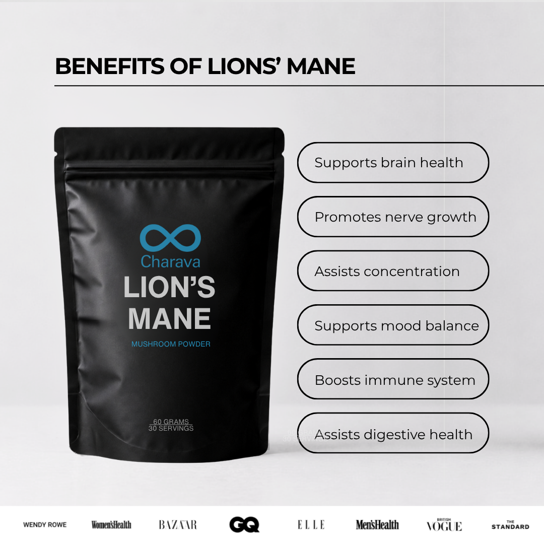 Lion's Mane Powder