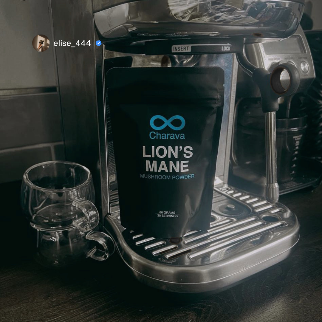 Lion's Mane Powder
