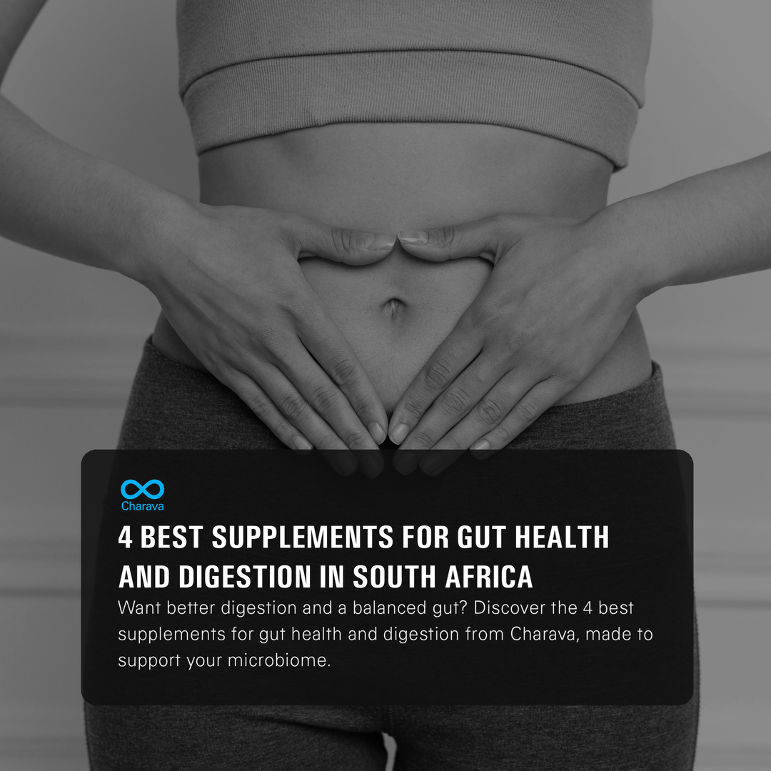 4 Best Supplements for Gut Health & Digestion