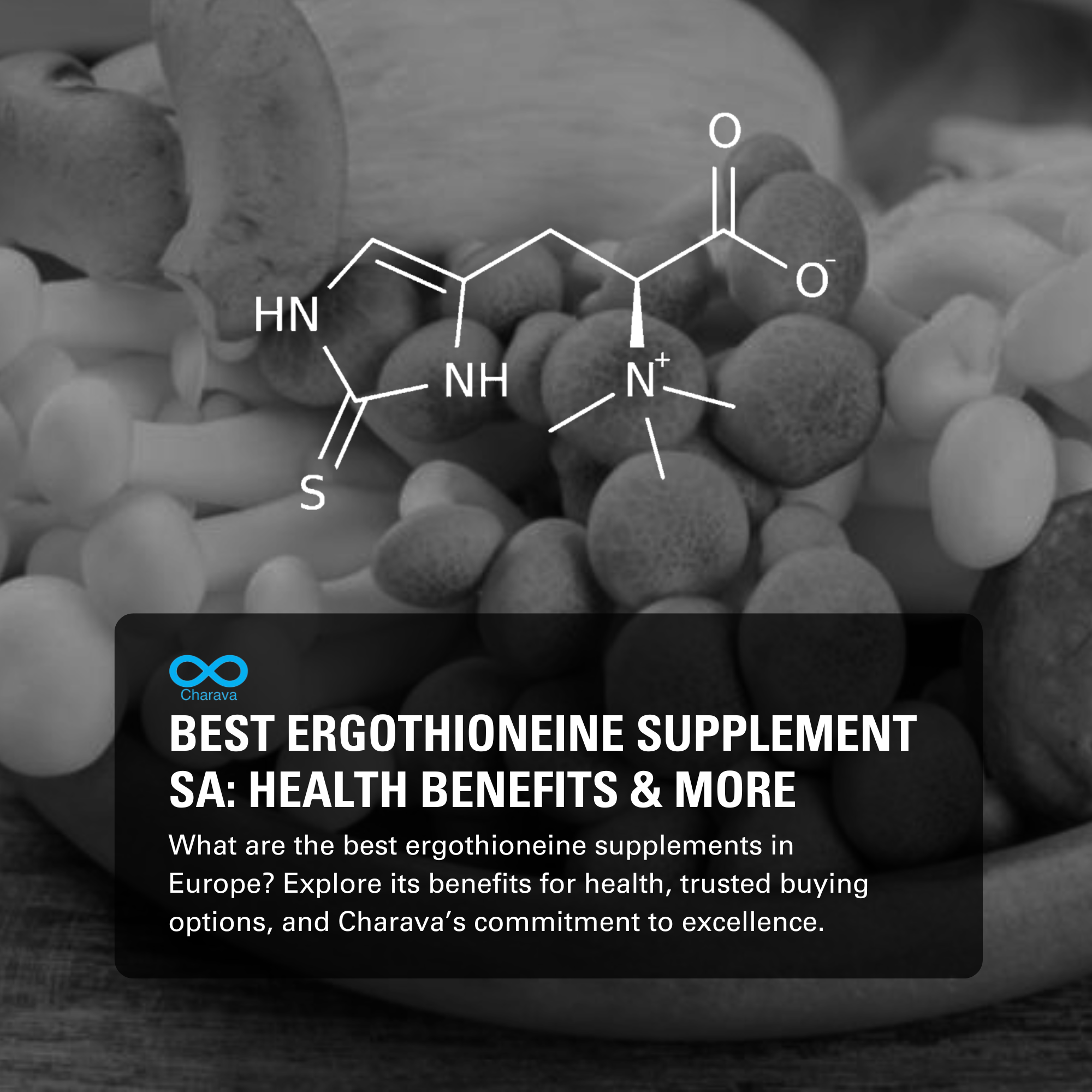 Where to Purchase the Best Ergothioneine Supplement in South Africa | Charava SA