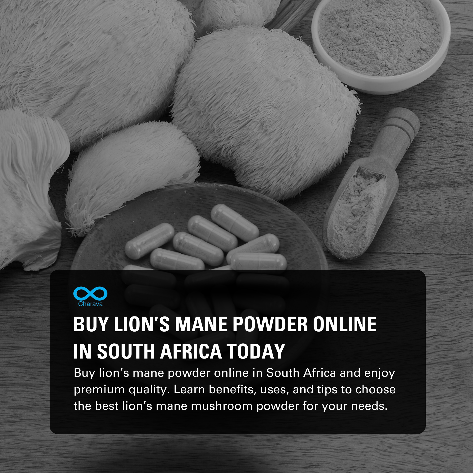 Buy Lion’s Mane Powder Online in South Africa for Quality & Value | Charava SA