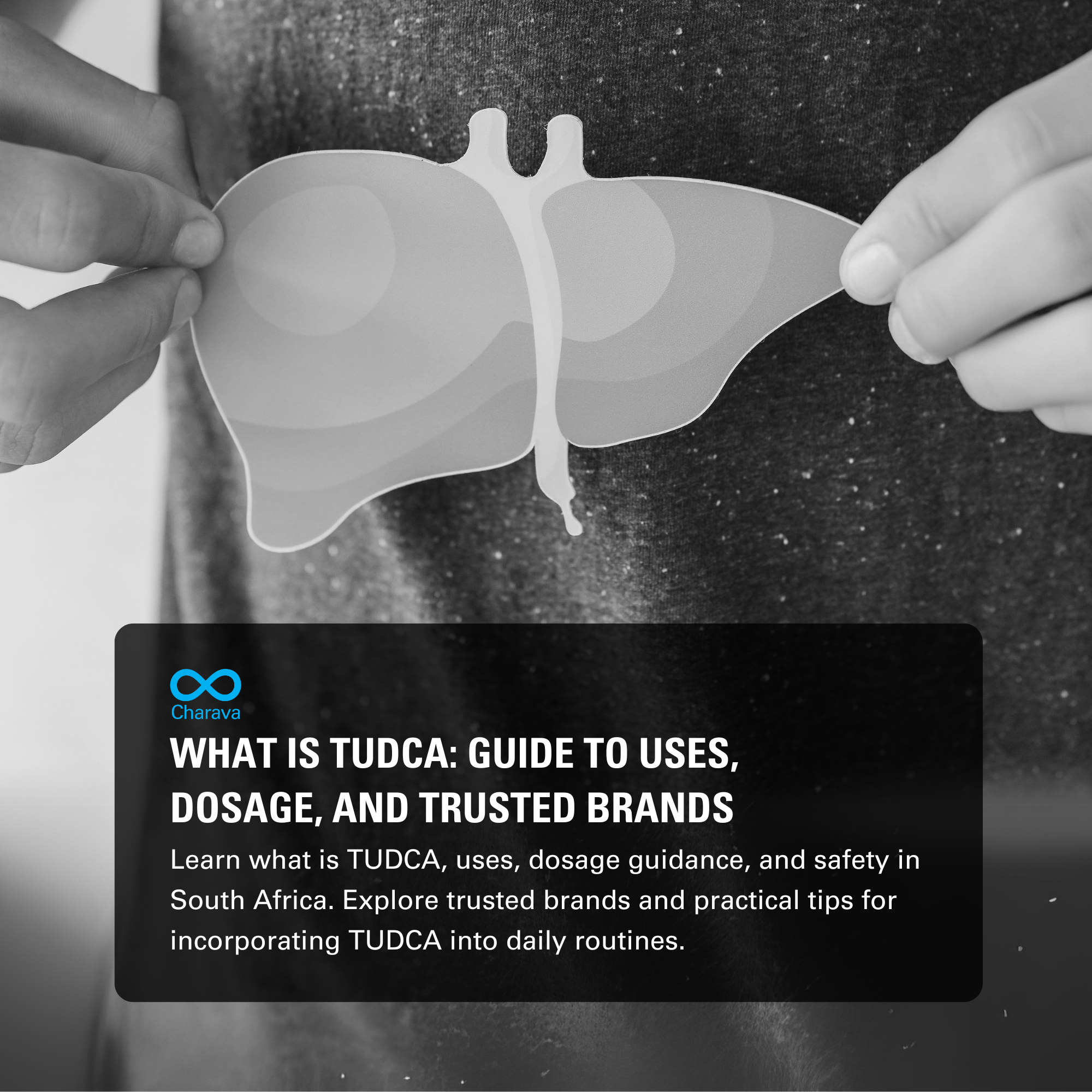 What is TUDCA? Exploring Its Uses, Dosage, and Safety Guidelines - Charava SA