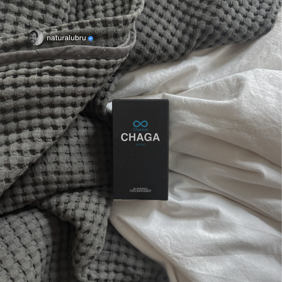 Chaga 500mg