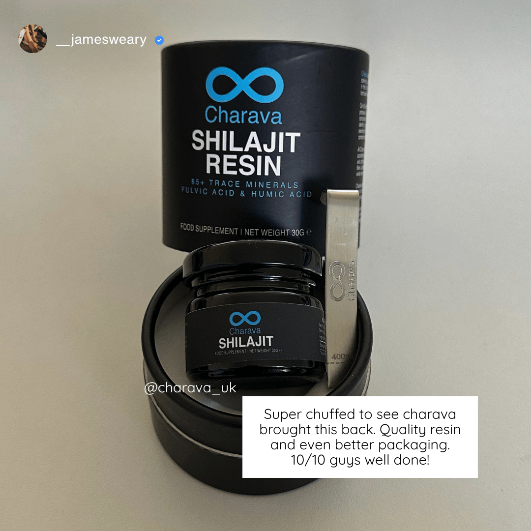 Shilajit Resin