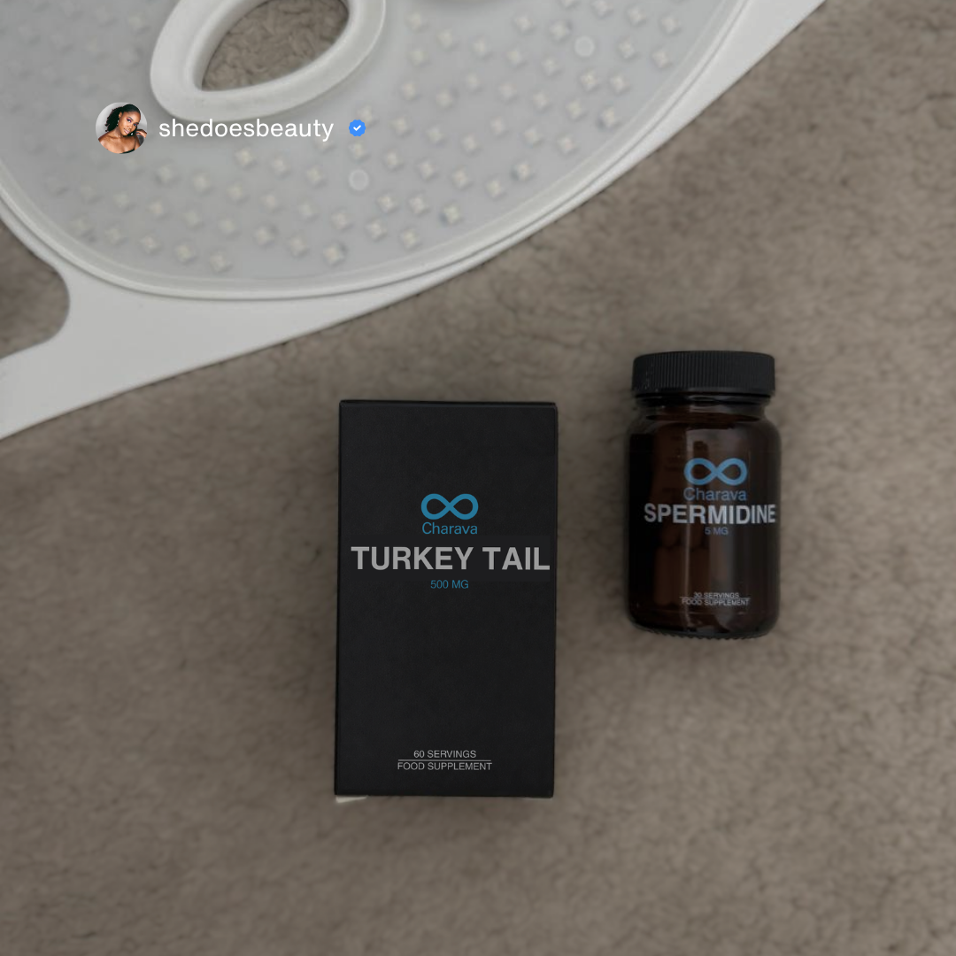 Turkey Tail 500mg